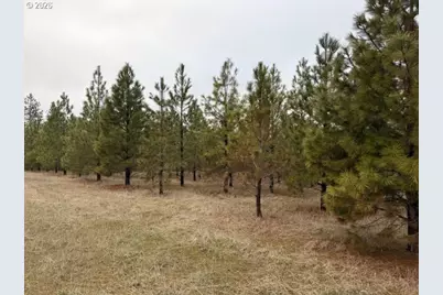 Garrison Rd #1, Goldendale, WA 98620 - Photo 14