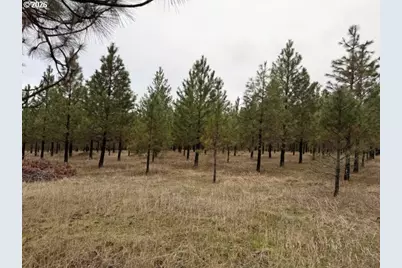 Garrison Rd #1, Goldendale, WA 98620 - Photo 12