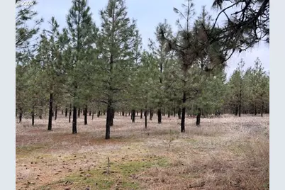 Garrison Rd #1, Goldendale, WA 98620 - Photo 2