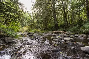 47100 SE Pheasant Meadow Rd, Sandy, OR 97055 - Photo 6