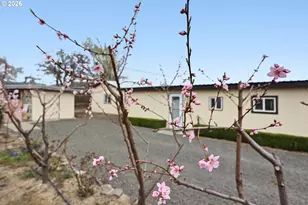 515 Columbia Ave, Roosevelt, WA 99356 - Photo 42