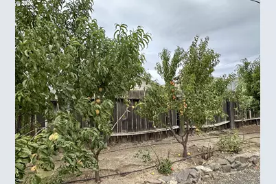 515 Columbia Ave, Roosevelt, WA 99356 - Photo 44