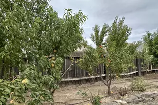 515 Columbia Ave, Roosevelt, WA 99356 - Photo 44