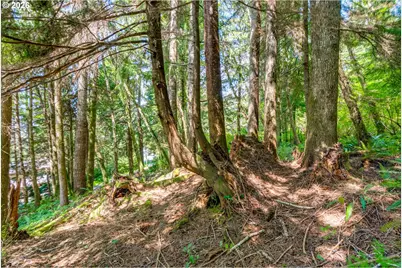 Block 9 Lot 5, Wheeler, OR 97147 - Photo 36