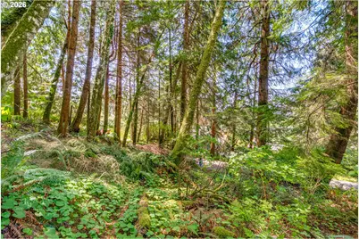 Block 9 Lot 5, Wheeler, OR 97147 - Photo 32