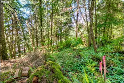 Block 9 Lot 5, Wheeler, OR 97147 - Photo 34