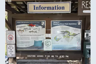 00 Fish Hatchery Dr, Scio, OR 97374 - Photo 4
