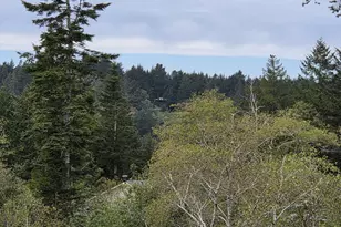 96420 Alder Ridge Rd, Brookings, OR 97415 - Photo 42