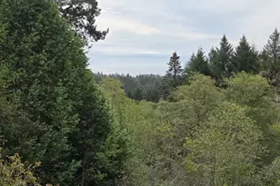 96420 Alder Ridge Rd, Brookings, OR 97415 - Photo 20