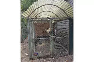 96420 Alder Ridge Rd, Brookings, OR 97415 - Photo 32