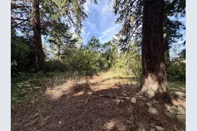 12825 SE Lincoln St, Portland, OR 97233 - Photo 48