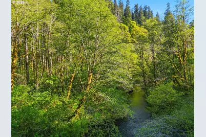 Upper North Ford Rd, Florence, OR 97439 - Photo 8