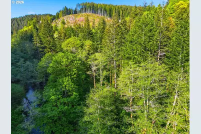 Upper North Ford Rd, Florence, OR 97439 - Photo 16