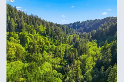 Upper North Ford Rd, Florence, OR 97439 - Photo 6