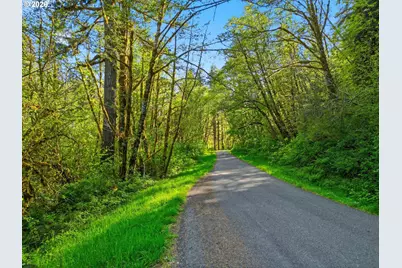 Upper North Ford Rd, Florence, OR 97439 - Photo 10
