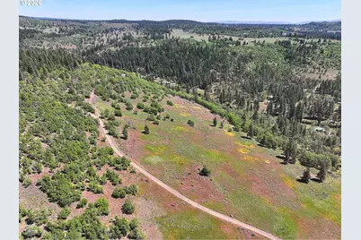Nka Thomson Trail, Goldendale, WA 98620 - Photo 34