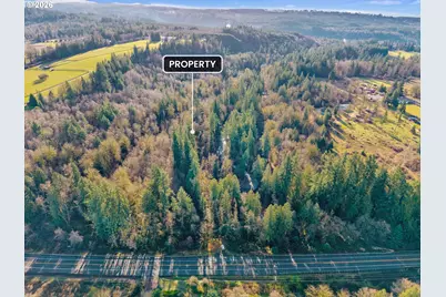 0 US Highway 12, Mossyrock, WA 98564 - Photo 4