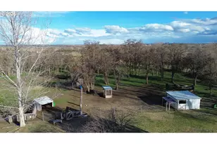 81371 N Golda Rd, Hermiston, OR 97838 - Photo 38