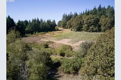 11700 NE 279th St, Battle Ground, WA 98604 - Photo 42