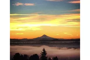 4323 SW Hamilton Terrace, Portland, OR 97239 - Photo 36