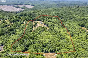 327 Parpala Rd, Naselle, WA 98638 - Photo 4