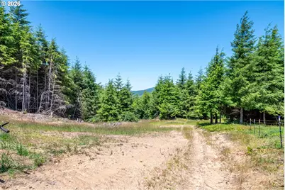 327 Parpala Rd, Naselle, WA 98638 - Photo 32