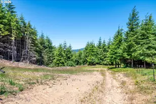 327 Parpala Rd, Naselle, WA 98638 - Photo 32