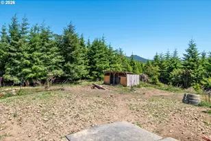 327 Parpala Rd, Naselle, WA 98638 - Photo 34