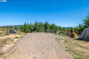 327 Parpala Rd, Naselle, WA 98638 - Photo 32