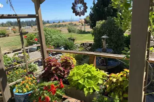 27345 SW 145th Ave, Sherwood, OR 97140 - Photo 36