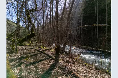 160 S Major Creek Rd, Lyle, WA 98635 - Photo 18