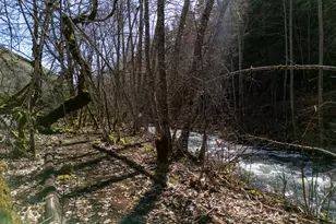 160 S Major Creek Rd, Lyle, WA 98635 - Photo 18