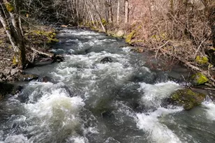 160 S Major Creek Rd, Lyle, WA 98635 - Photo 20