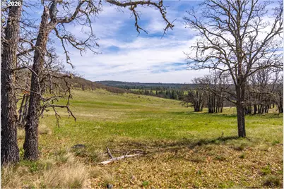 Piney Woods, Goldendale, WA 98620 - Photo 2