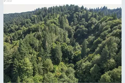 00 Stian Smith Rd., Coos Bay, OR 97420 - Photo 4