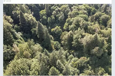 00 Stian Smith Rd., Coos Bay, OR 97420 - Photo 18