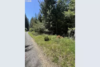 Timber Lane, Coos Bay, OR 97420 - Photo 4