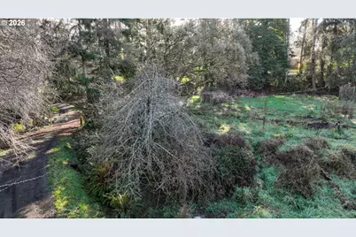 Vl Lyngstad Heights Ln #1904, Astoria, OR 97103 - Photo 8