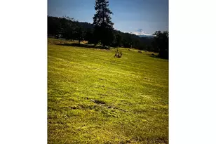 2505 Dry Creek Rd, Mosier, OR 97040 - Photo 46