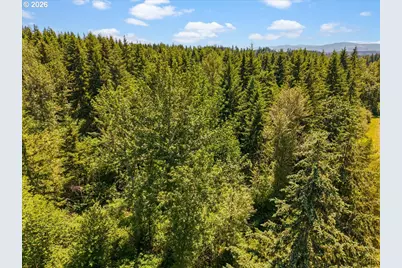 0 Currin, Estacada, OR 97023 - Photo 6