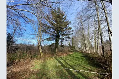 Hawkins Rd, Warrenton, OR 97146 - Photo 14