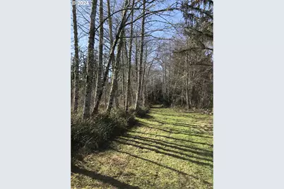 Hawkins Rd, Warrenton, OR 97146 - Photo 16