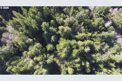 Cedar Ln #112, Florence, OR 97439 - Photo 6