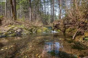 322 Round Prairie Rd, Wilderville, OR 97543 - Photo 40