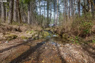 322 Round Prairie Rd, Wilderville, OR 97543 - Photo 40
