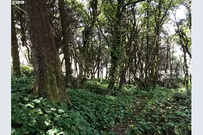 0 NW 57th St, Newport, OR 97365 - Photo 4