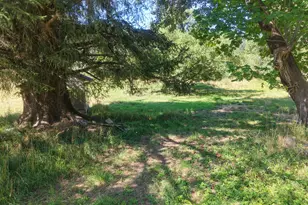 44564 Hwy 101, Port Orford, OR 97465 - Photo 32