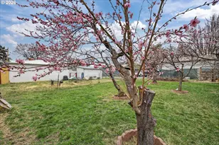 1705 Valley Ave, Baker City, OR 97814 - Photo 44