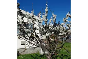 631 2nd Ave, Powers, OR 97466 - Photo 22