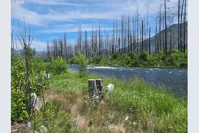 52262 McKenzie Hwy, Blue River, OR 97413 - Photo 2